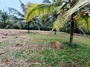 Land for Sale Mirigama. (ID:MRGM001)