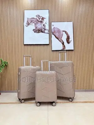 LUGGAGE BAGS BACKPACK TROLLEY