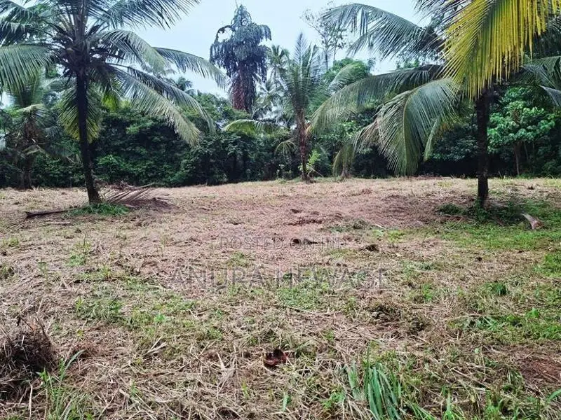Land for Sale Mirigama. (ID:MRGM001)