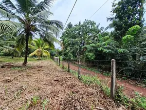 මීරිගම පිහිටි ඉඩමක් විකිණීමට ඇත. (ID:MRGM001S)