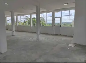 Commercial Building for Rent in Mawaramandaiya (SP891)