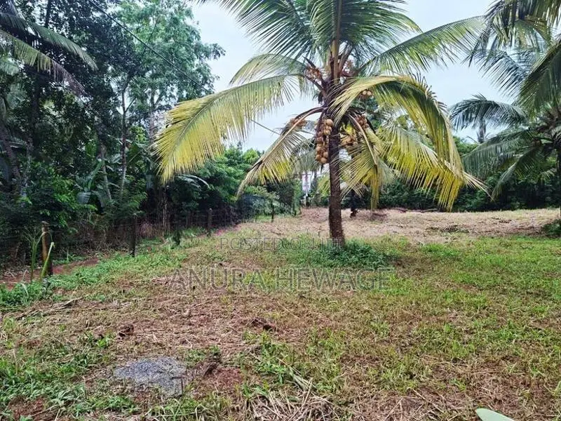 Land for Sale Mirigama. (ID:MRGM001)