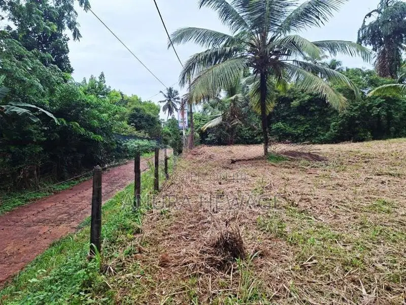 මීරිගම පිහිටි ඉඩමක් විකිණීමට ඇත. (ID:MRGM001S)