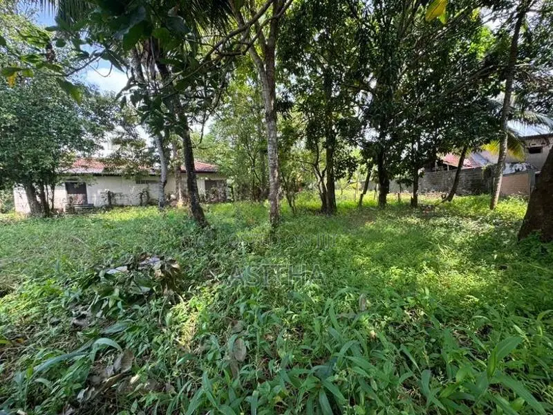 Land for Sale Ratthanapitiya