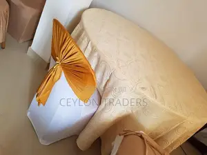 Plastic Chair Cover White Spandex
