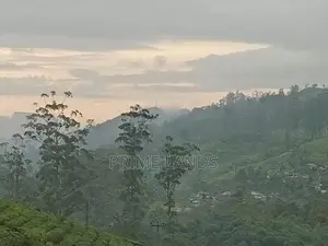 Land for Sale Nuwara Eliya
