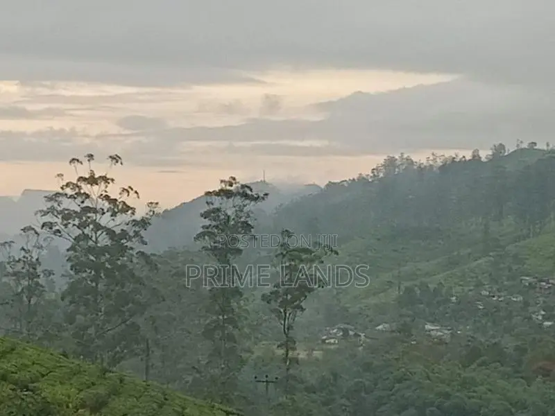 Land for Sale Nuwara Eliya