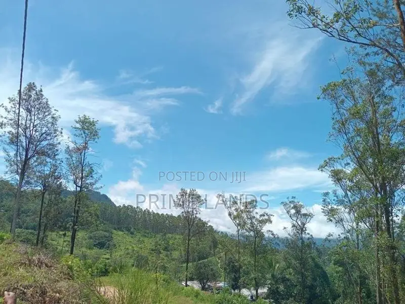 Land for Sale Nuwara Eliya