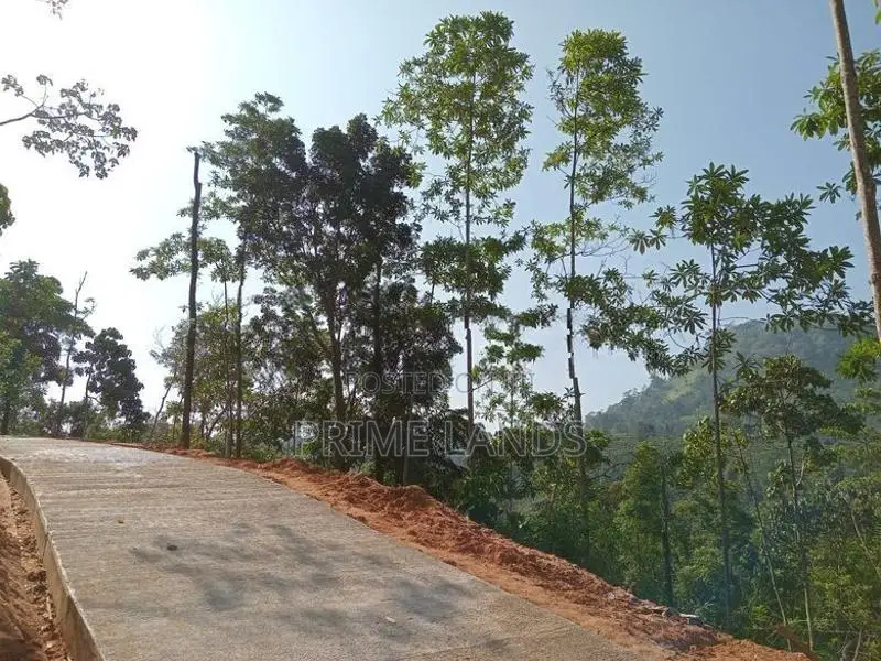 Land for Sale Nuwara Eliya