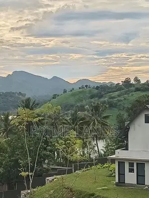 Kandy Victoria Reservoirs luxury Holiday villas