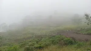 Land for Sale Nuwaraeliya