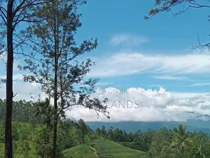 Land for Sale Nuwara Eliya