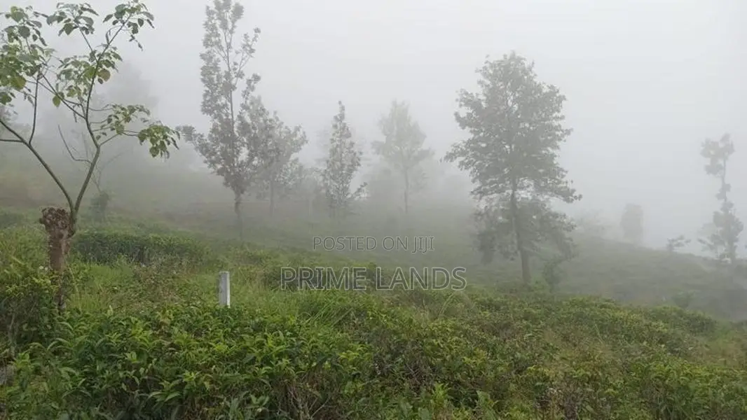 Land for Sale Nuwara Eliya