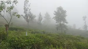 Land for Sale Nuwara Eliya