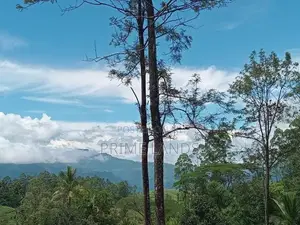 Land for Sale Nuwara Eliya Road