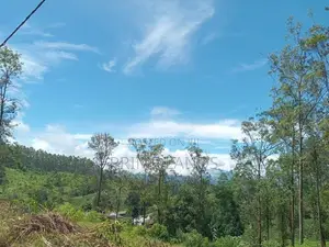 Land for Sale Nuwara Eliya