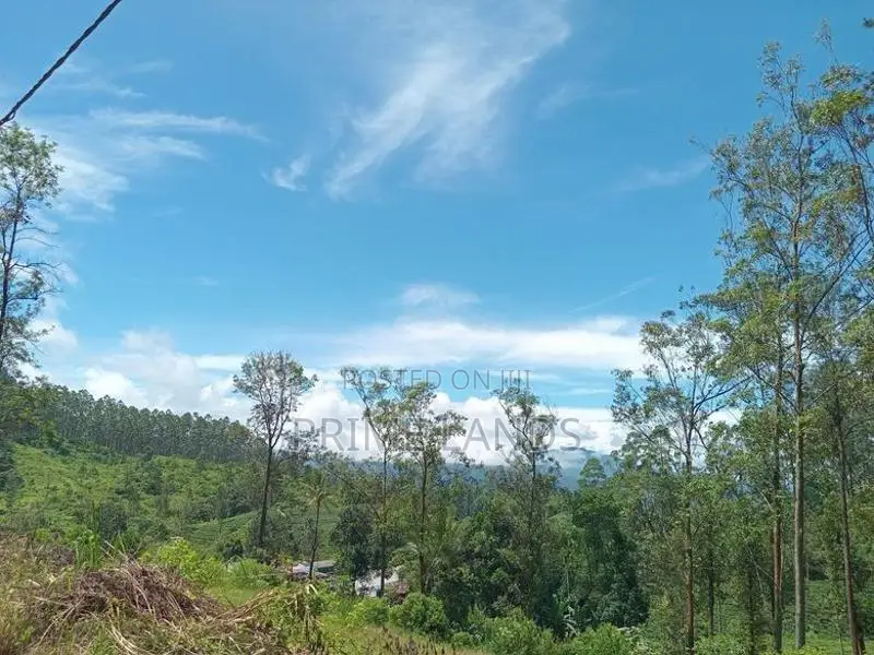 Land for Sale Nuwara Eliya