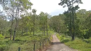 Land for Sale Pussellawa