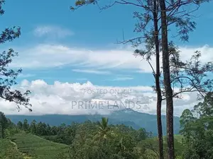 Land for Sale Nuwara Eliya
