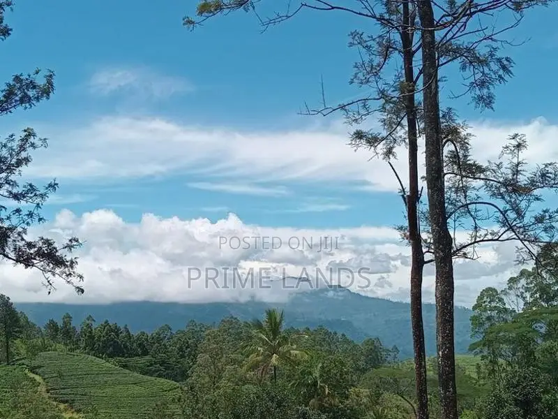 Land for Sale Nuwara Eliya