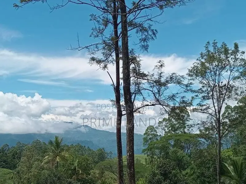 Land for Sale Nuwara Eliya