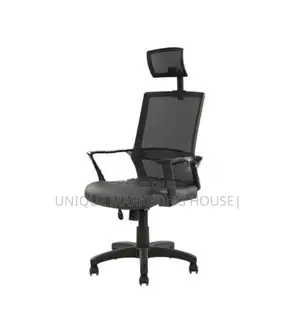 Piyestra Mesh Hi-Bk Premium Office Chairs