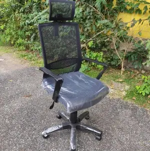 Piyestra Mesh Hi-Bk Premium Office Chairs