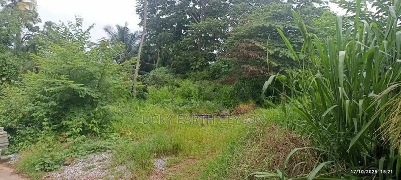 Sale Pelawatta, Valuable Residential Land (NZMS3037)