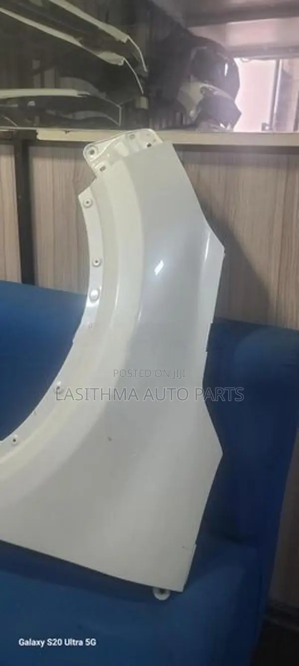 Raizer Front Fender