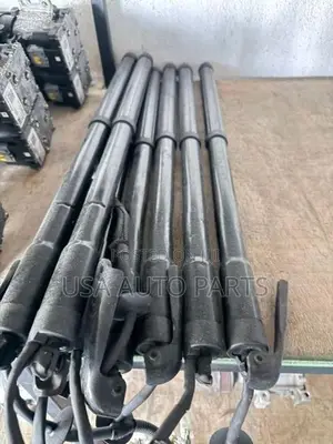 X Trail Hybrid Electric Dicky Shock