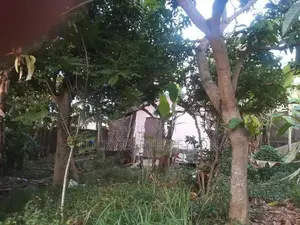 Ragama Bare Land in A Prime Location