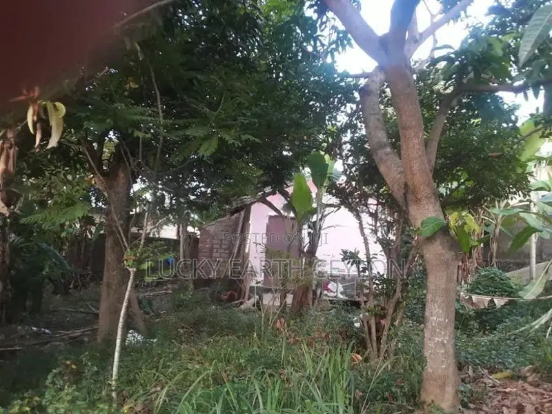 Ragama Bare Land in A Prime Location