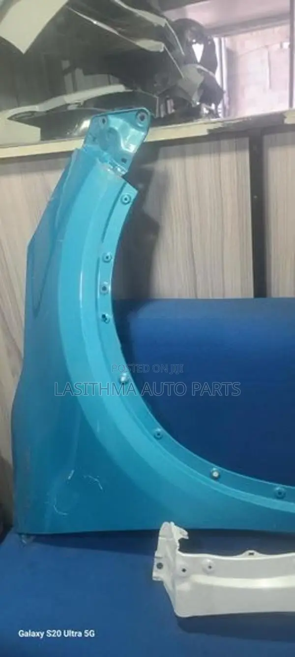 Raizer Front Fender