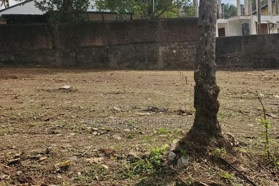 14.5 Perches Land for Sale in Kotte