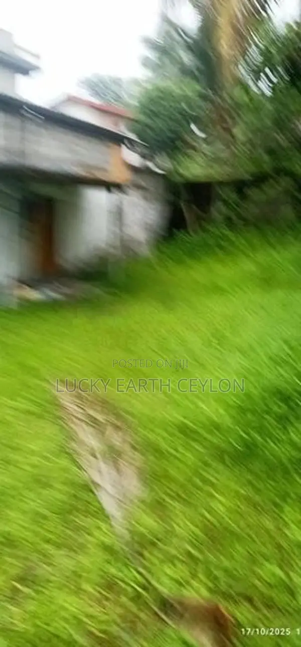Sale Pannipitiya, Square Shaped Valuable Land (NZMS3035)