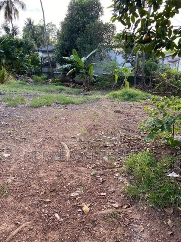 14.5 Perches Land for Sale in Kotte