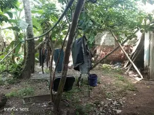 10 Perches Land Sale in Dehiwala