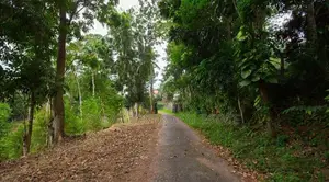 COMMERCIAL LAND FOR RENT IN MATARA (SP905)