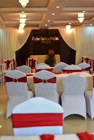 plastic and hotel steel chair covers