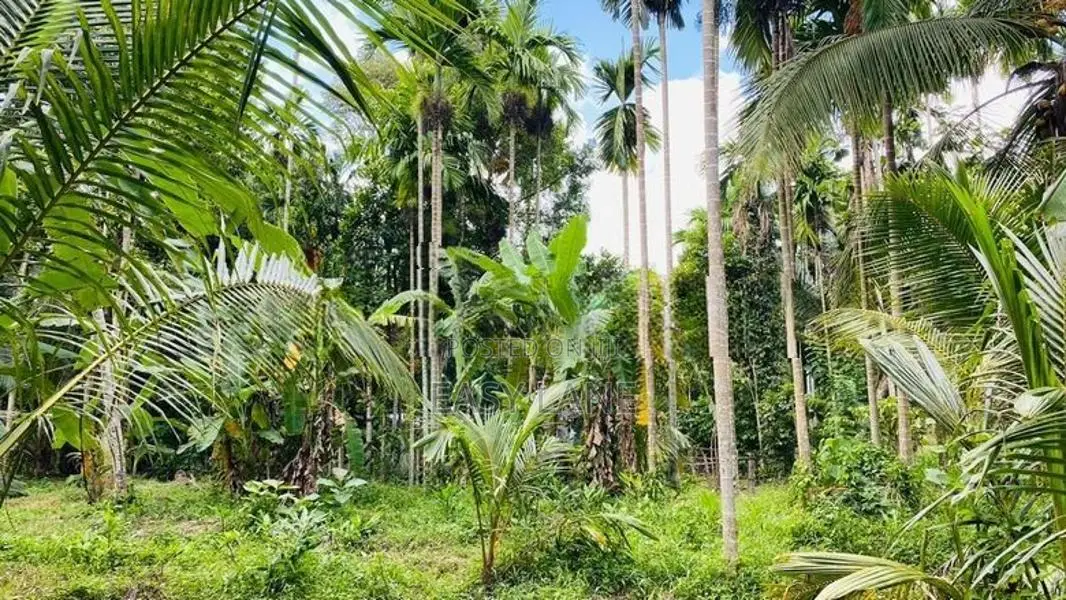 Land for Sale in Mirigama