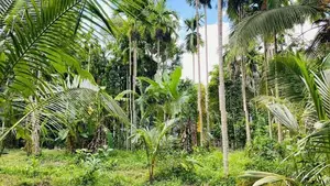 Land for Sale in Mirigama