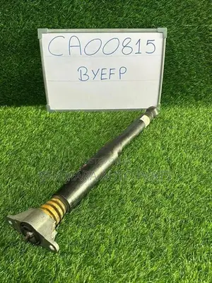 Mazda Axela (BYEFP/ 2014) Rear Shocks