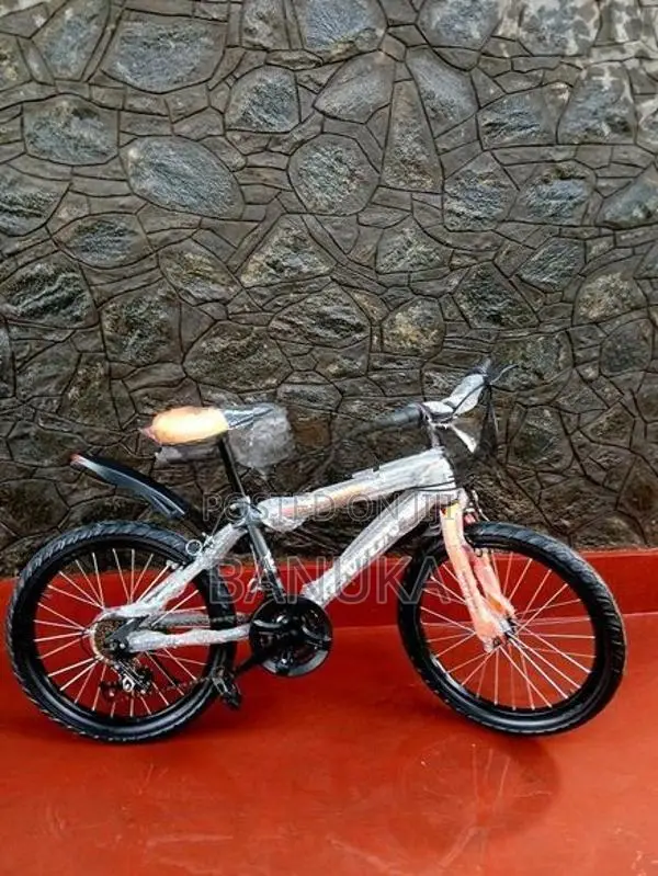 Gear Bicycle Size 20 (Brand New)