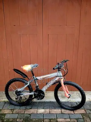 Gear Bicycle Size 20 (Brand New)
