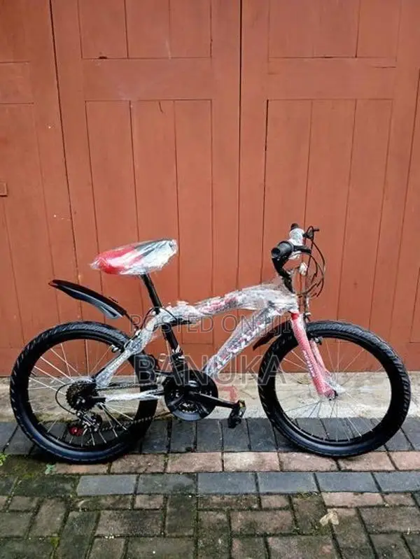 Gear Bicycle Size 20 (Brand New)