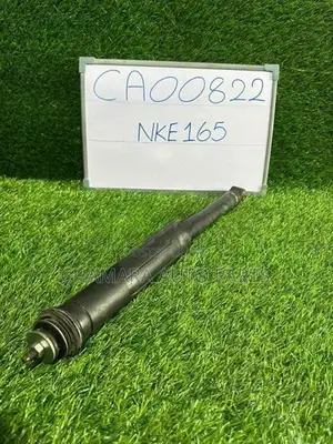 Toyota Axio (NKE165) Rear Shocks