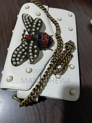 Ladies Hand Bag