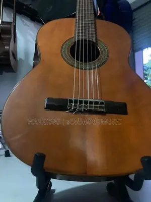 Zen on Gut Guitar ZG - 60 classic box Made in Japan