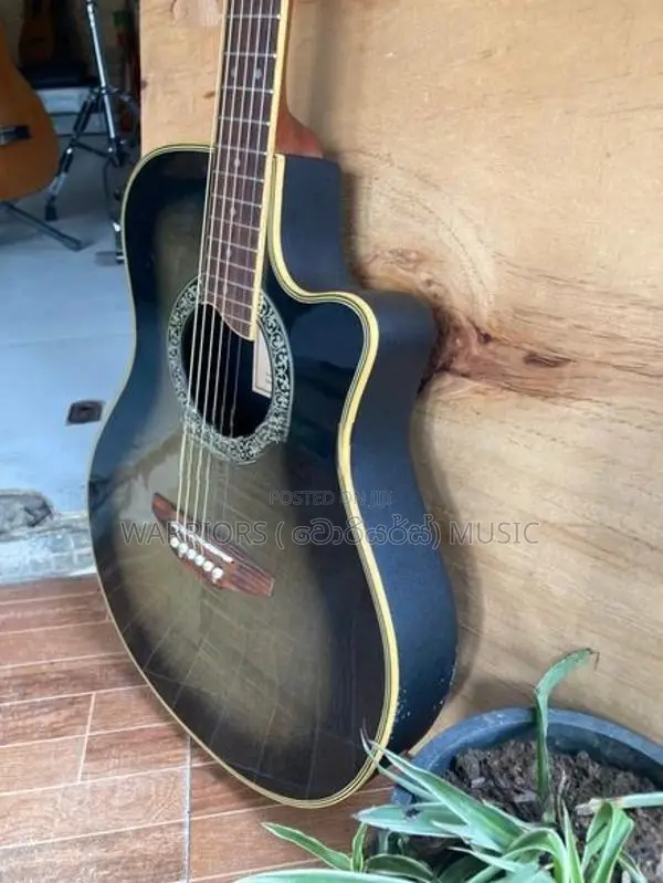 Dear DAC 485 E Japan imported Acoustic Guitar