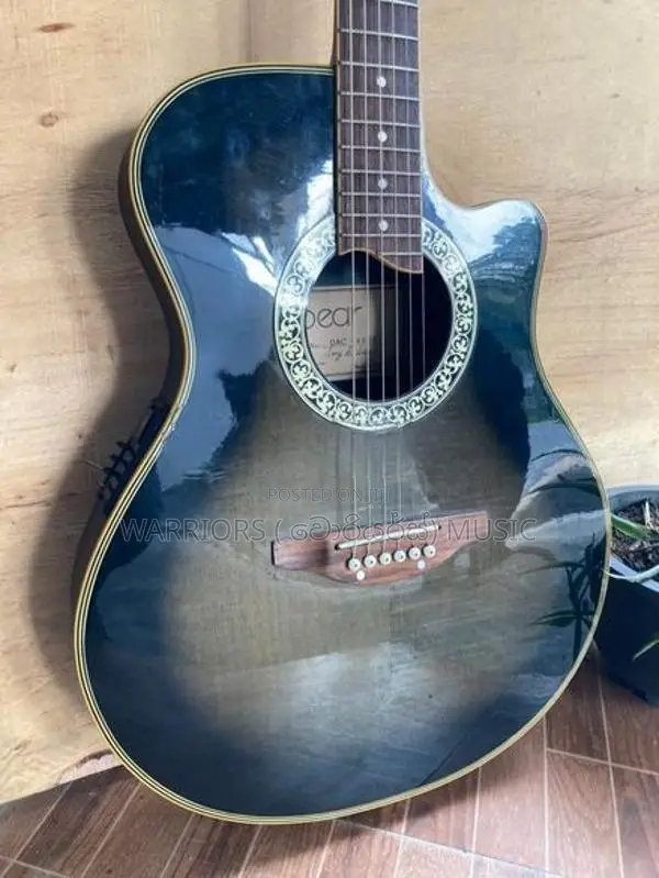 Dear DAC 485 E Japan imported Acoustic Guitar